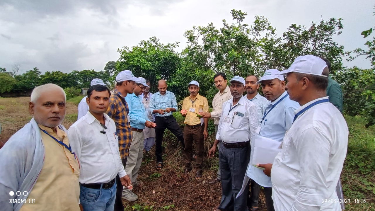 Participants visited the nursery and experimental blocks of acid lime and lemon plants