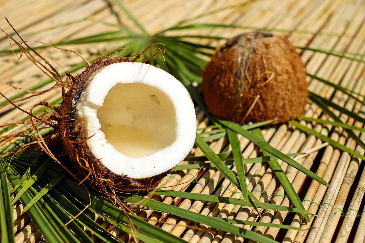 World Coconut Day 2024 (Photo Source: Pixabay)