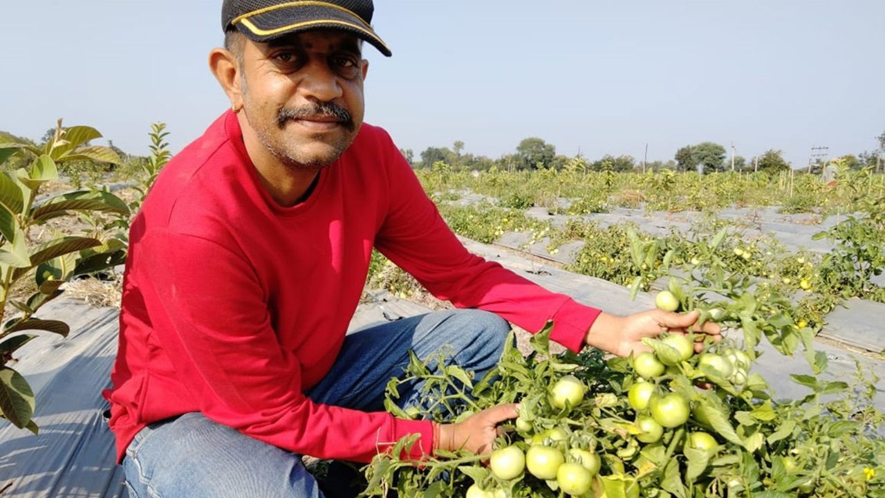 Ashwani Singh Chauhan at his farm