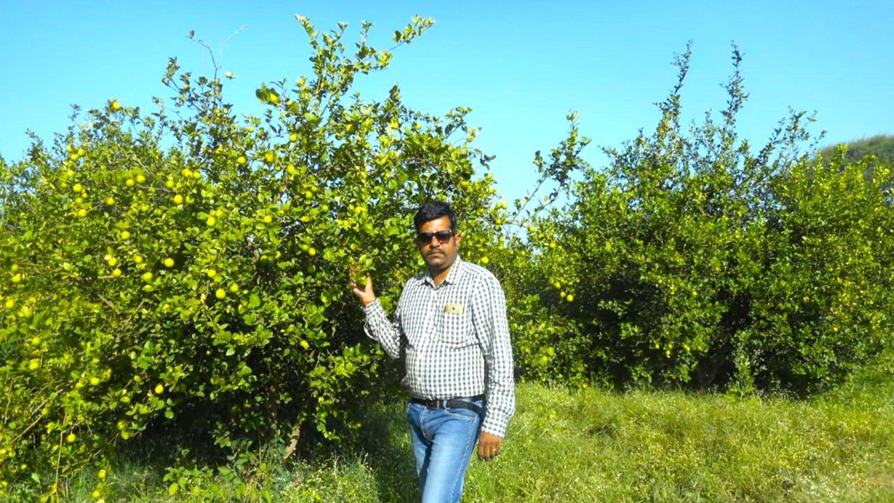 Ashwini Singh Chauhan in his farm