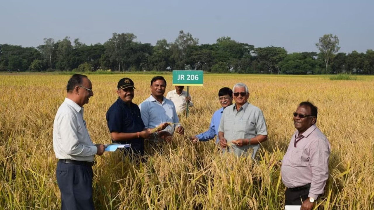 Agricultural scientists at the farm of progressive farmer Ashwini Singh Chauhan