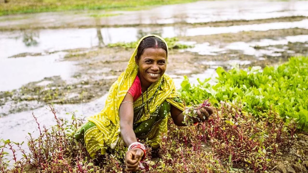 Women Farmer working in field (Representational Image Source: UNDP)