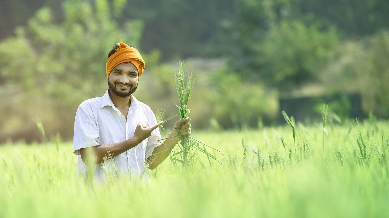 Representational image of PM Kisan 18th Installment (Photo Source: Pixabay)