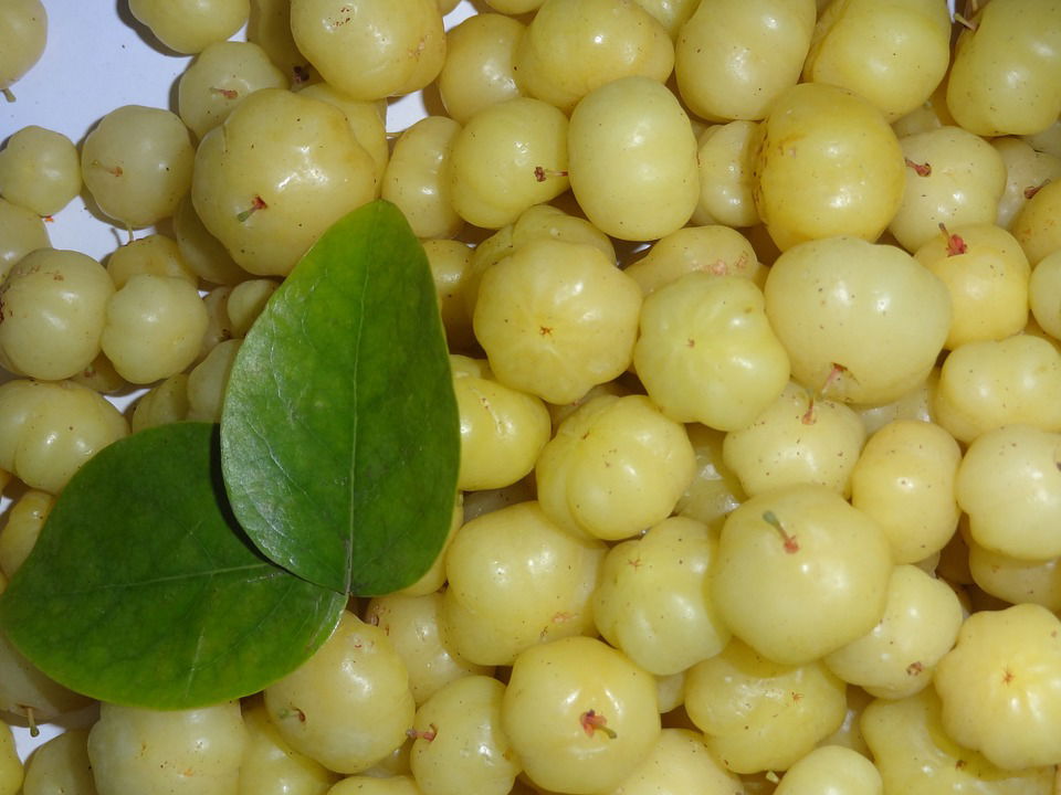 Amla is also known as Indian Gooseberries                                                                                Source: Pixabay