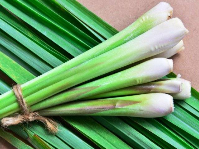 Lemongrass