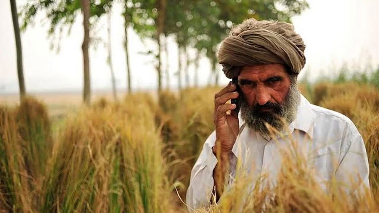 Farmer using a mobile app