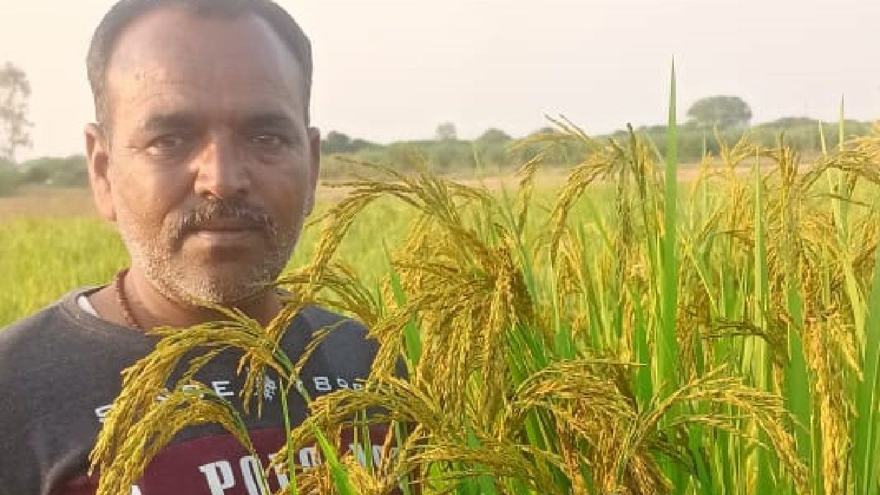 Man Singh in his Paddy Field