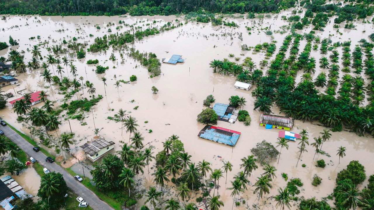 Flood affected crops (Representational Image Source: Pexels)