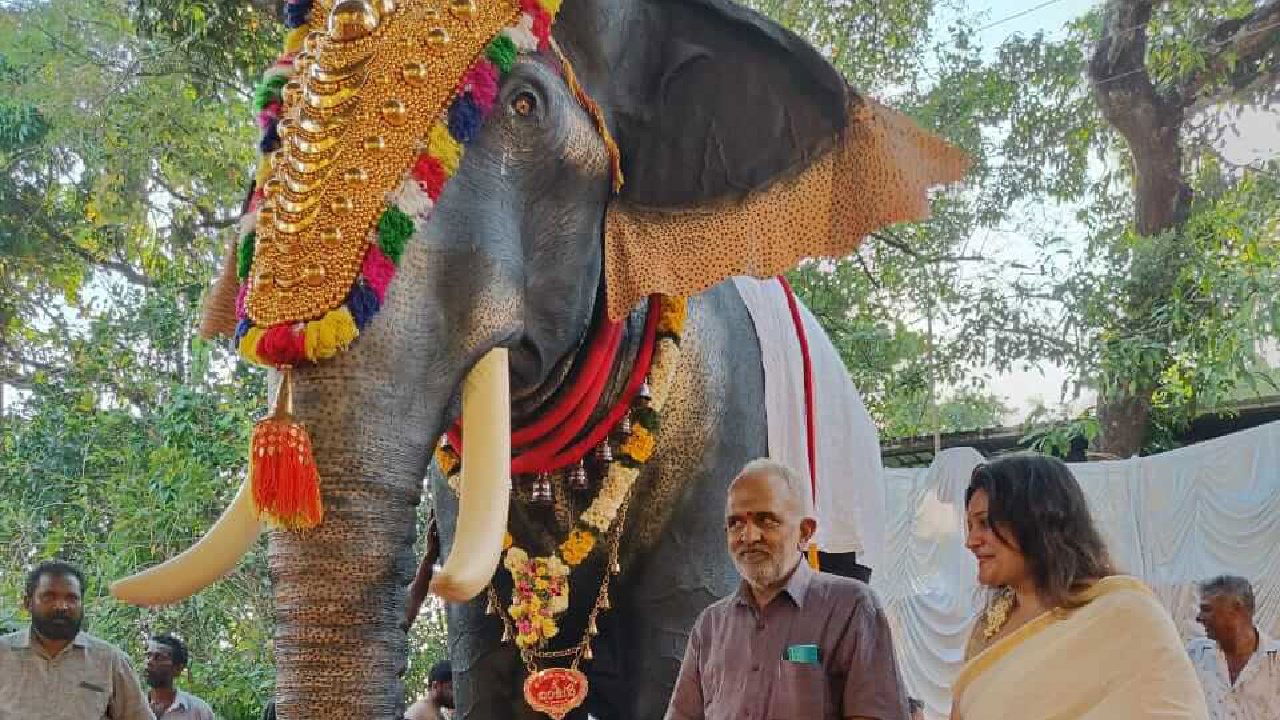 Representational Image of Robot Elephant (Image Source: PETA India)