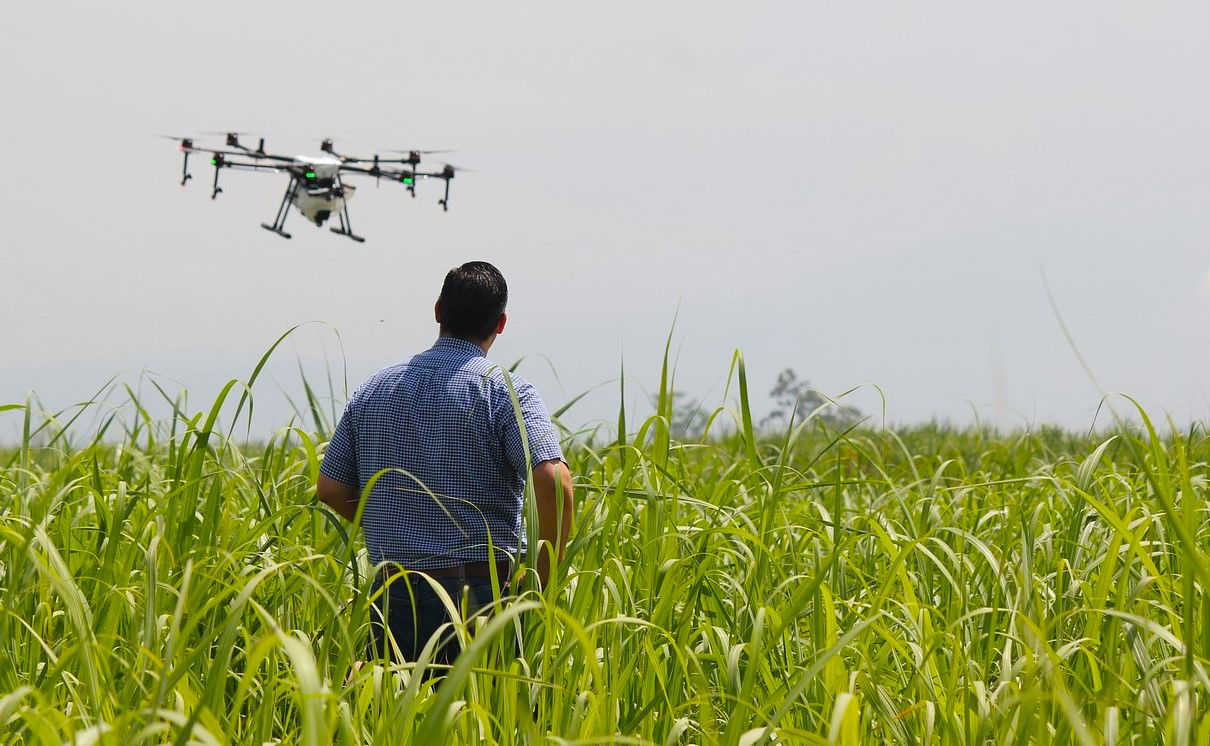 Representational image of Agriculture Technology (Photo Source: Pexels)