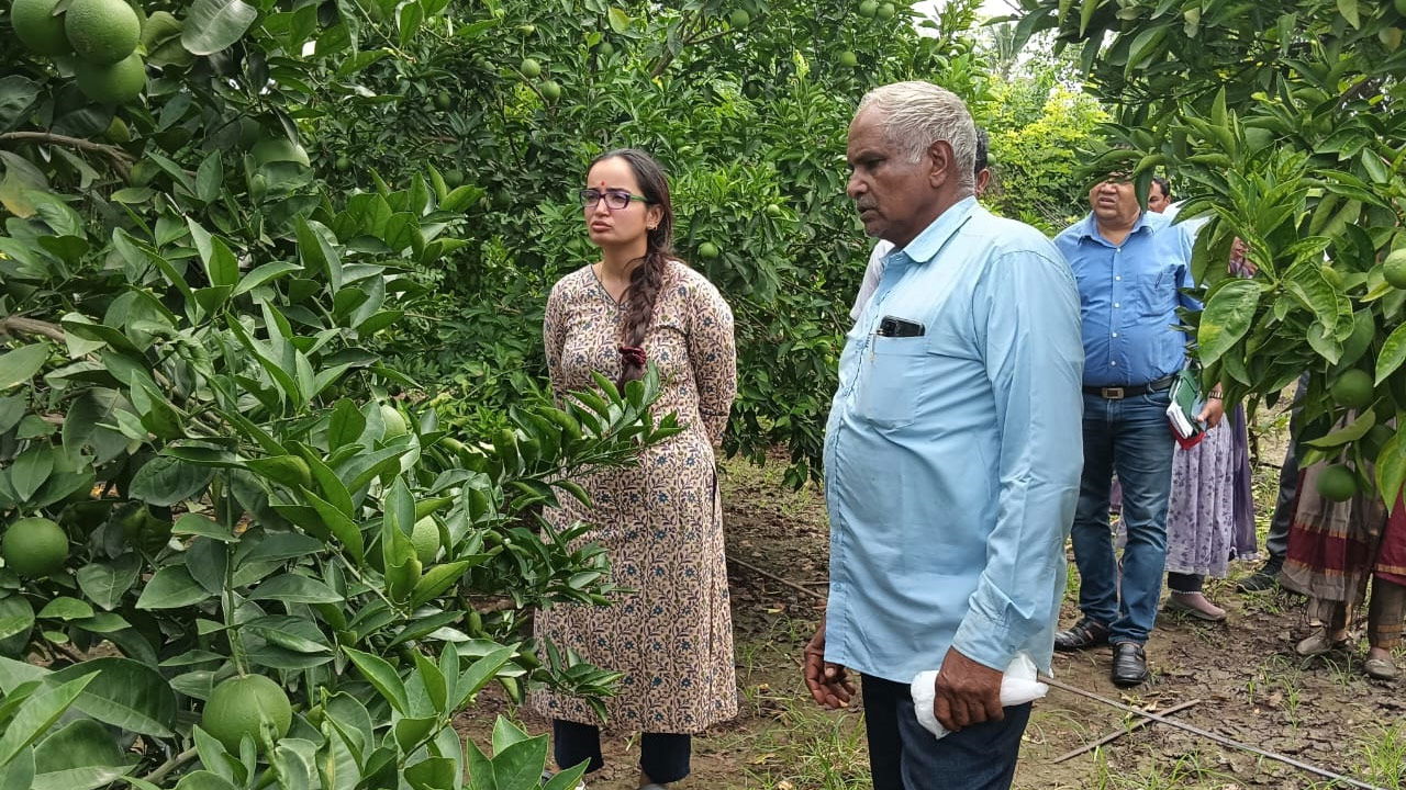 Balram Patidar at his Mousambi(Sweet Lime) Farm with Visitors.