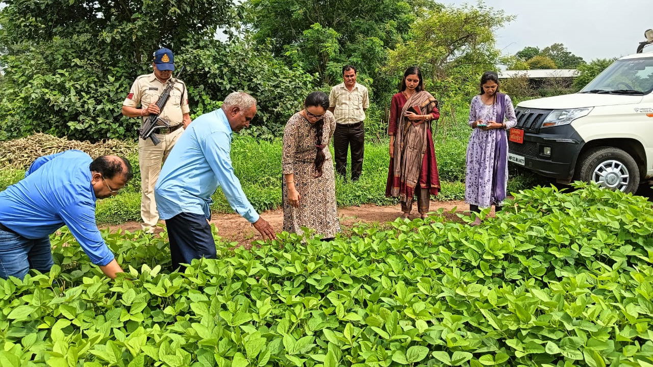 State Officials Visiting Balram Patidar's Soyabean Farm