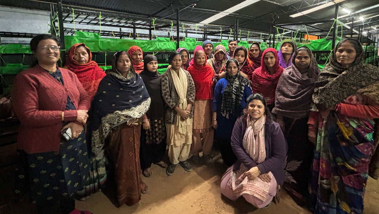 Over 20 women work at Shubhavni SmartFarms, involved in all stages of saffron production, from drying bulbs to harvesting and packaging.