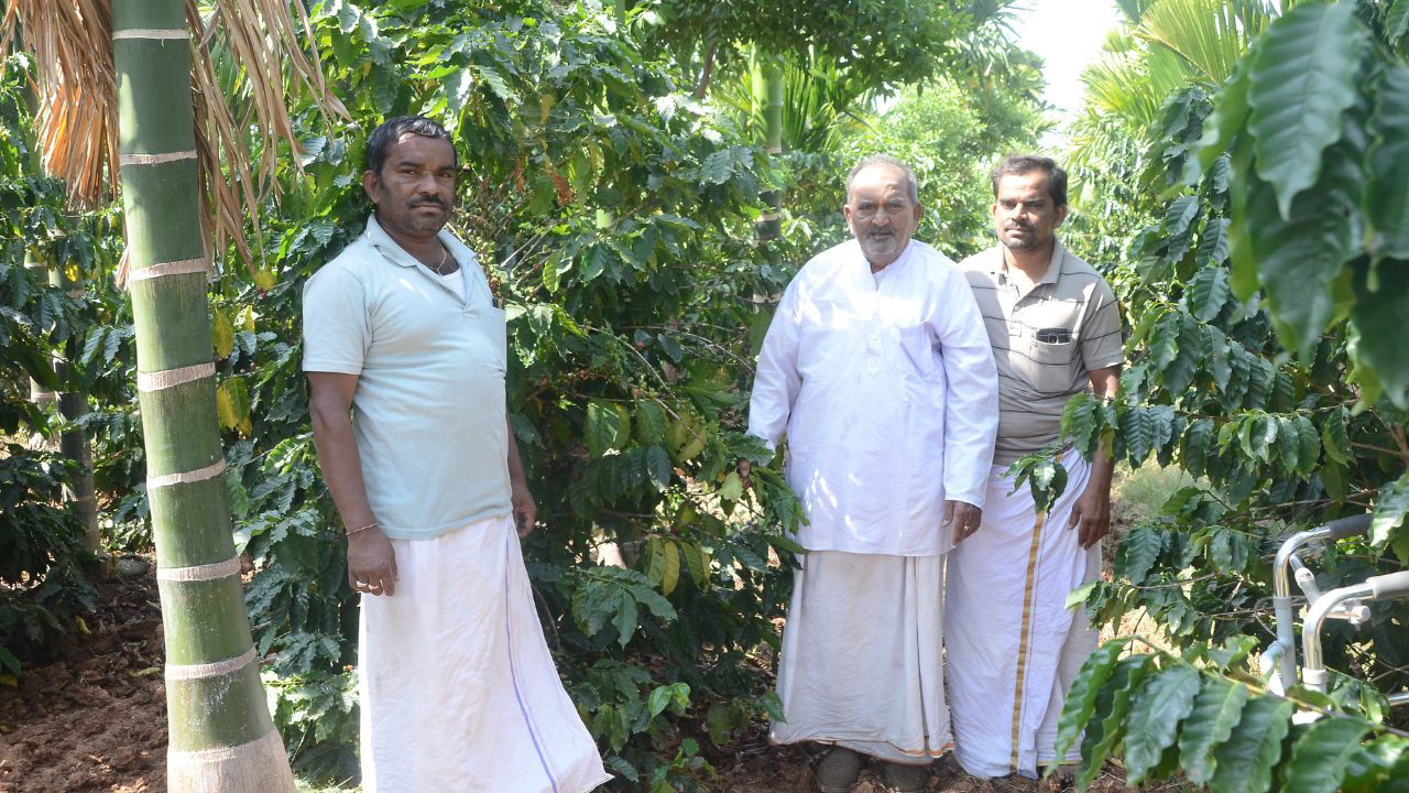 Siddhalingappa with sons in his farm