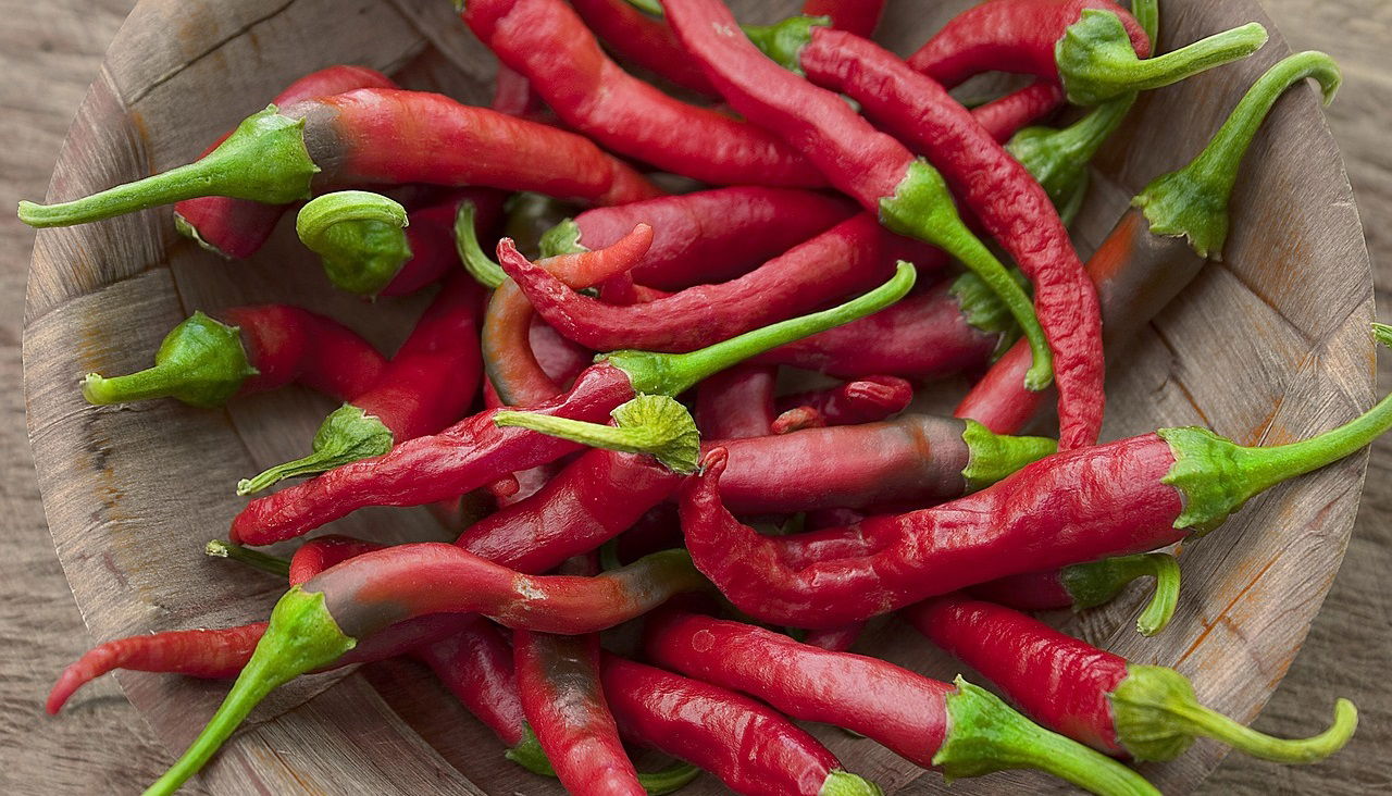 Representational image of Khola Chilli (Photo Source: Pixabay)