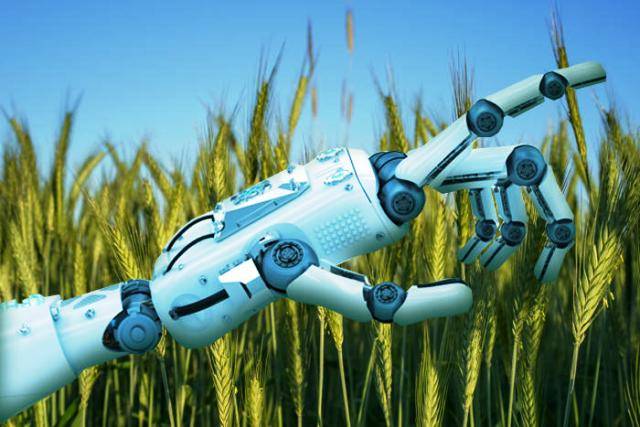 A Complete Overview Of Artificial Intelligence In Agriculture Market