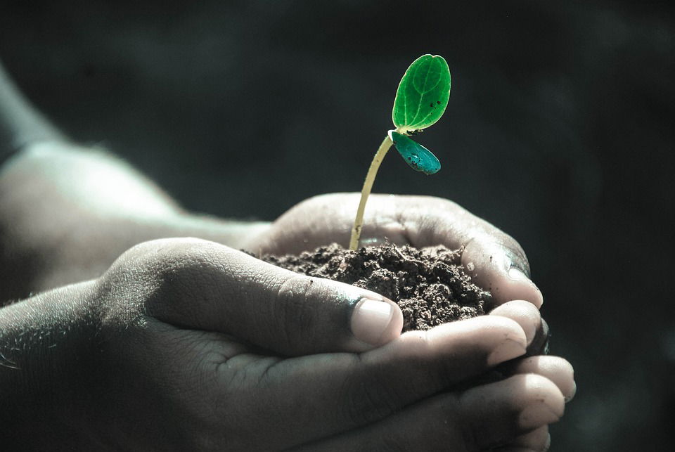 Soil Conservation has Become an Important Point of Discourse                                     Source: Pixabay