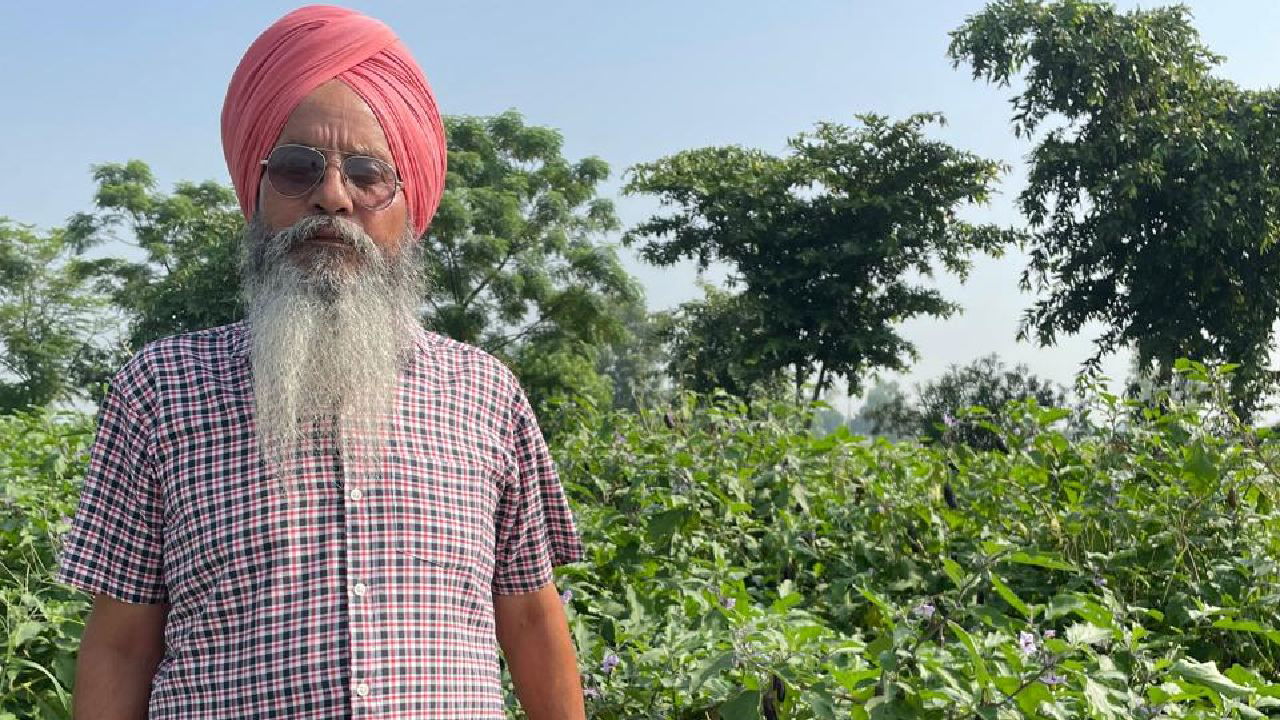 Phuman Singh in his field