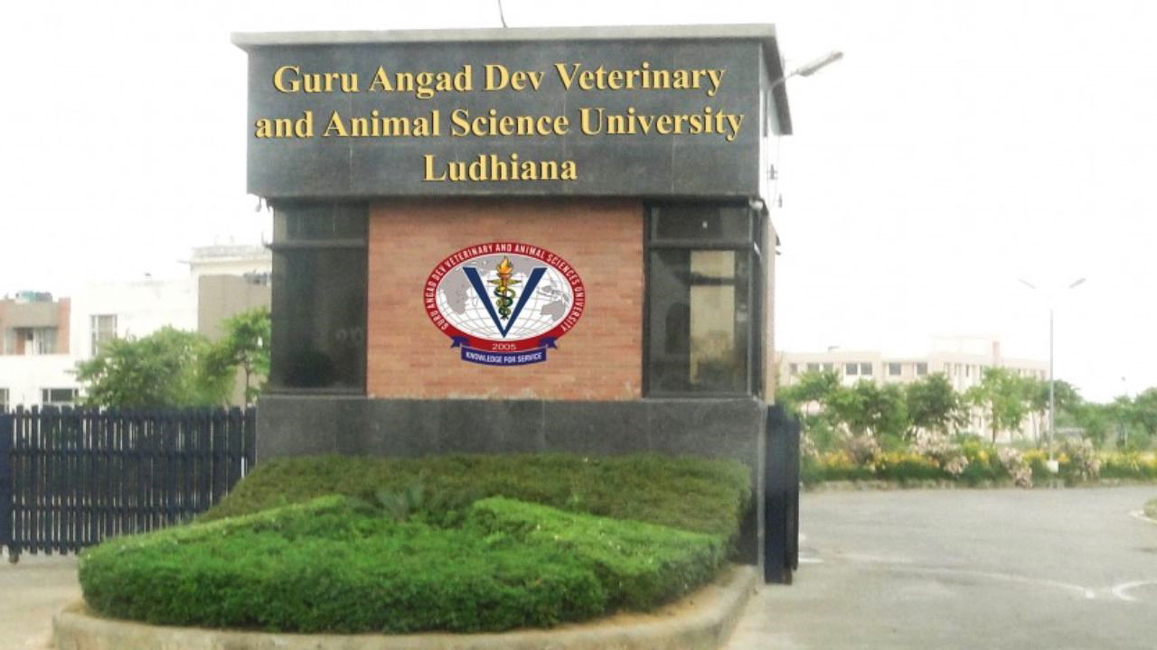 Guru Angad Dev Veterinary and Animal Sciences University, Ludhiana (Photo Source: GADVASU/Fb)