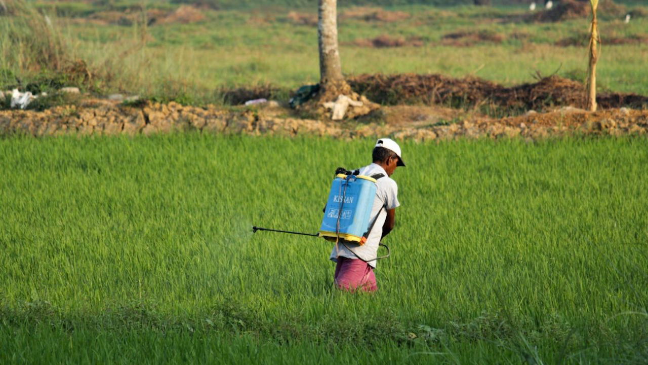 Man fertilizing the field (Representational Photo Source: Pexels)