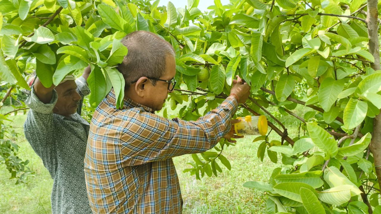 Anand Mishra taking care of his lemon plant