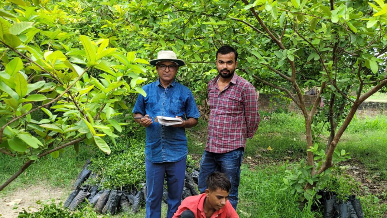 Anand Mishra at his lemon farm