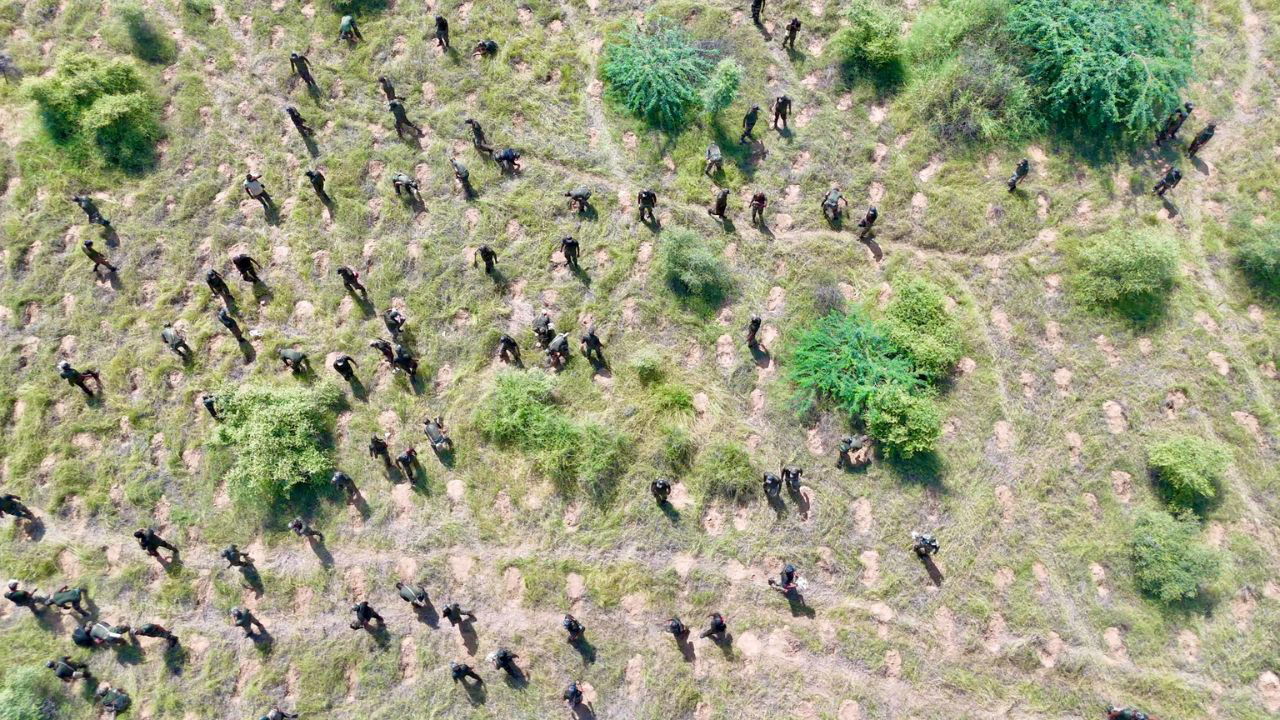 Glimpse of 128 Infantry Battalion and Ecological Task Force of the Territorial Army during tree plantation (Photo Source: @byadavbjp/X)