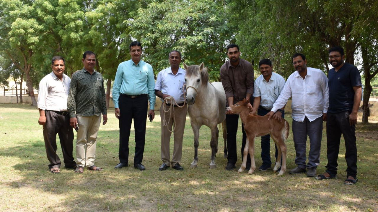 ICAR-NRCE officials with Country’s First Live Horse Foal Produced Through Embryo Transfer (Photo Source: ICAR)