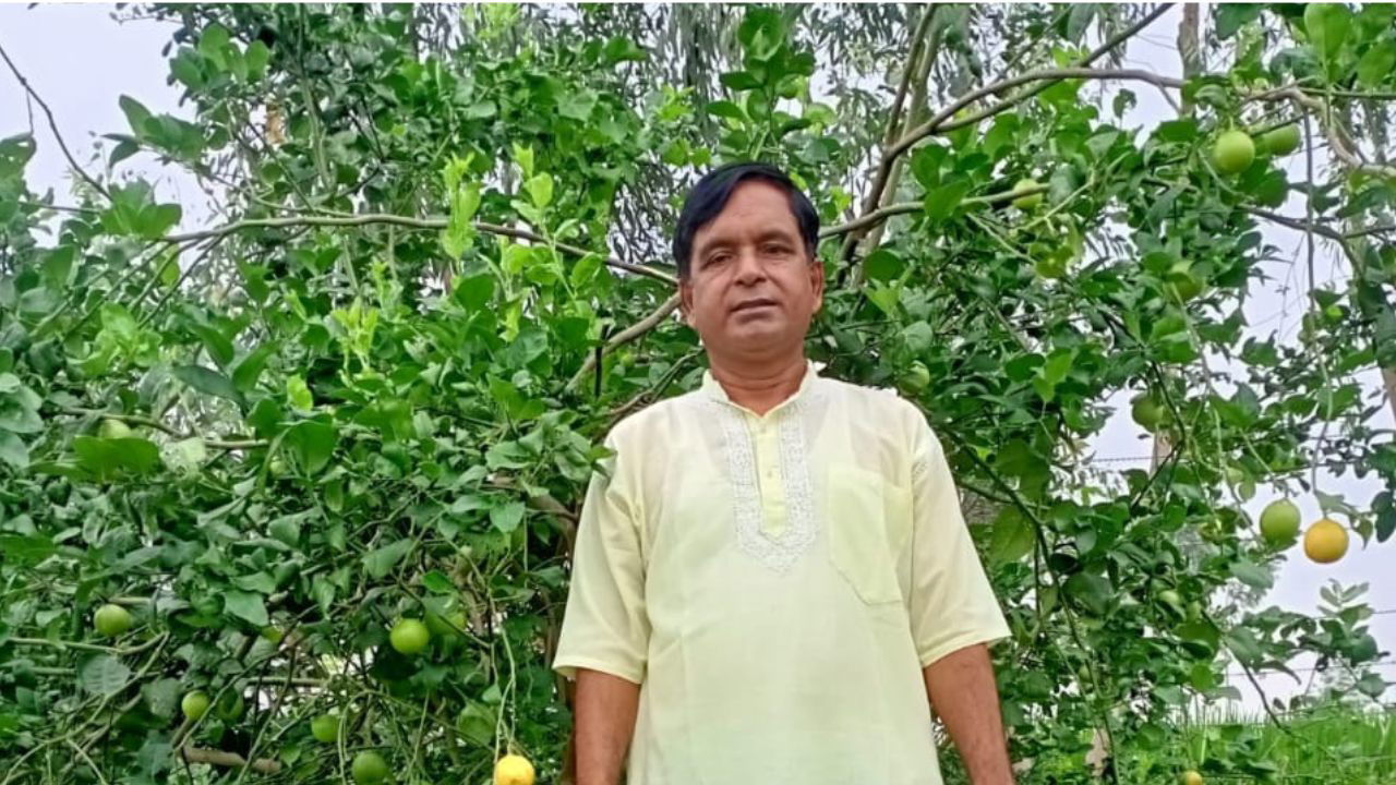 Anand Mishra in his lemon farm