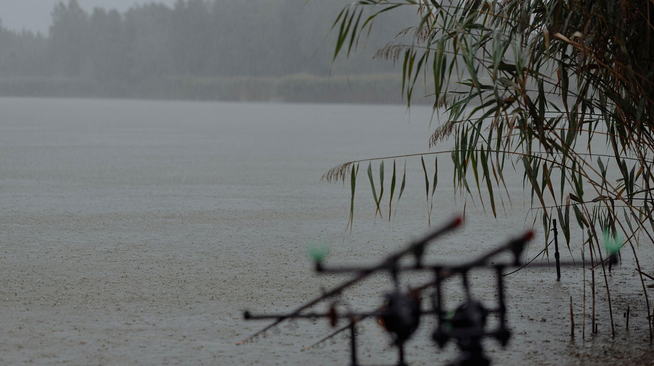 Representational image of Rainfall (Photo Source: Pexels)