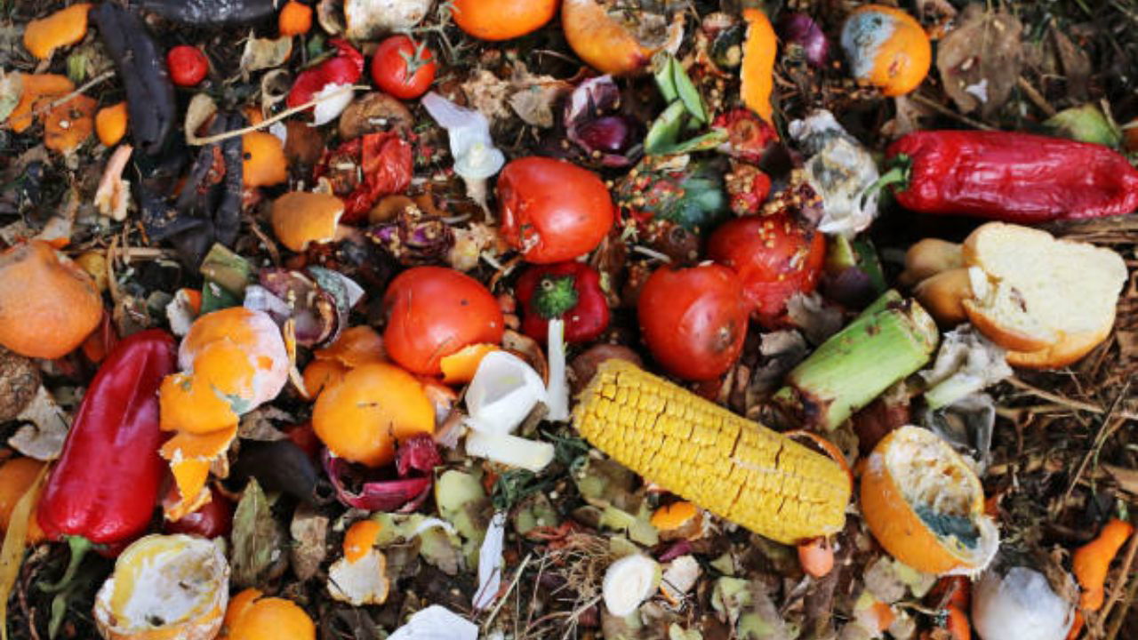 Problem of food waste (Representational Image Source: Pexels)