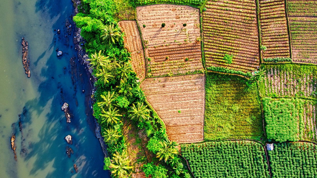 Pictorial representation of agriculture field alongside rivers (Photo Source: Pexels)