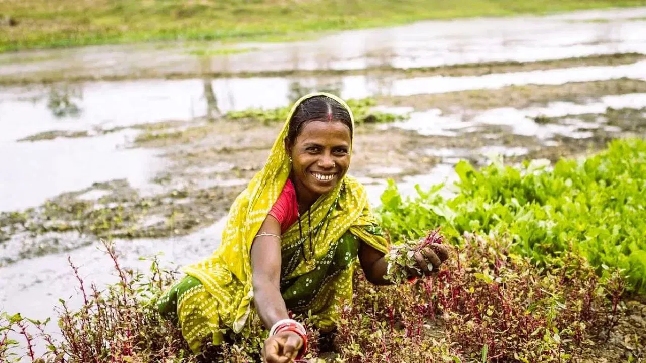 Women Farmer (Representational Photo Source: UNDP)