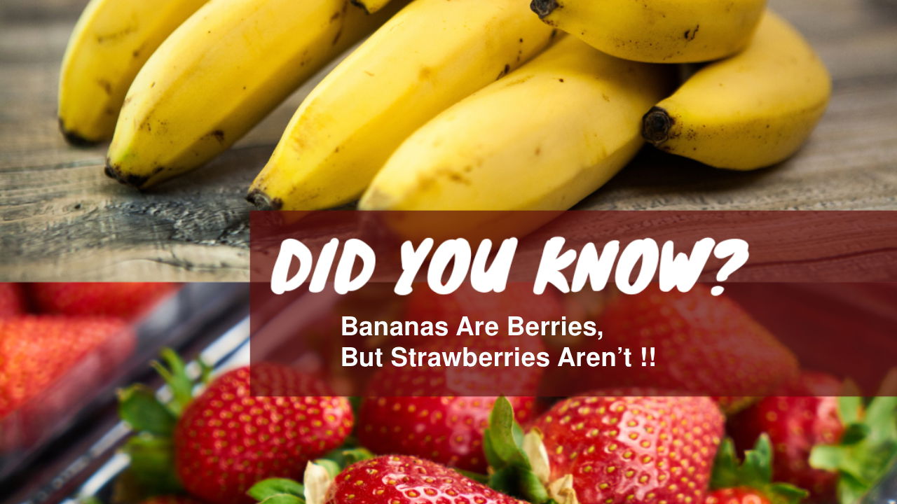 Representational image of banana and strawberries (Image Source: Photopea)