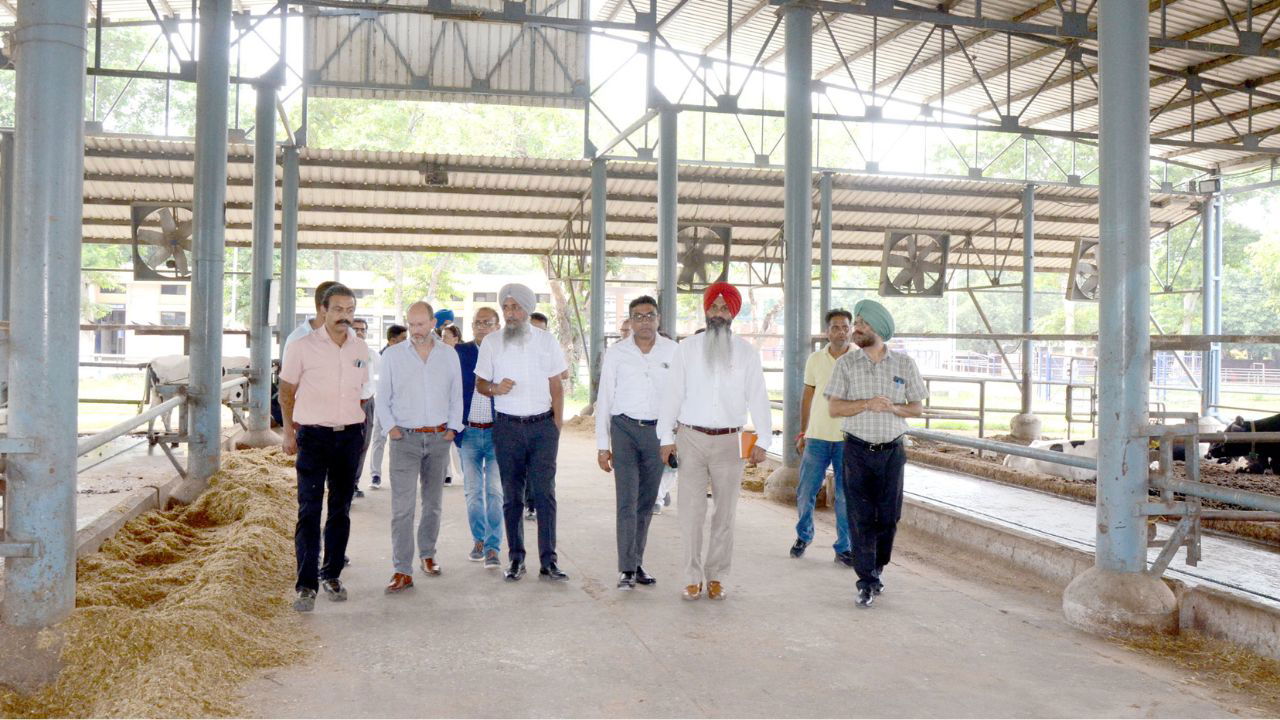 Delegation visiting Dairy Farm