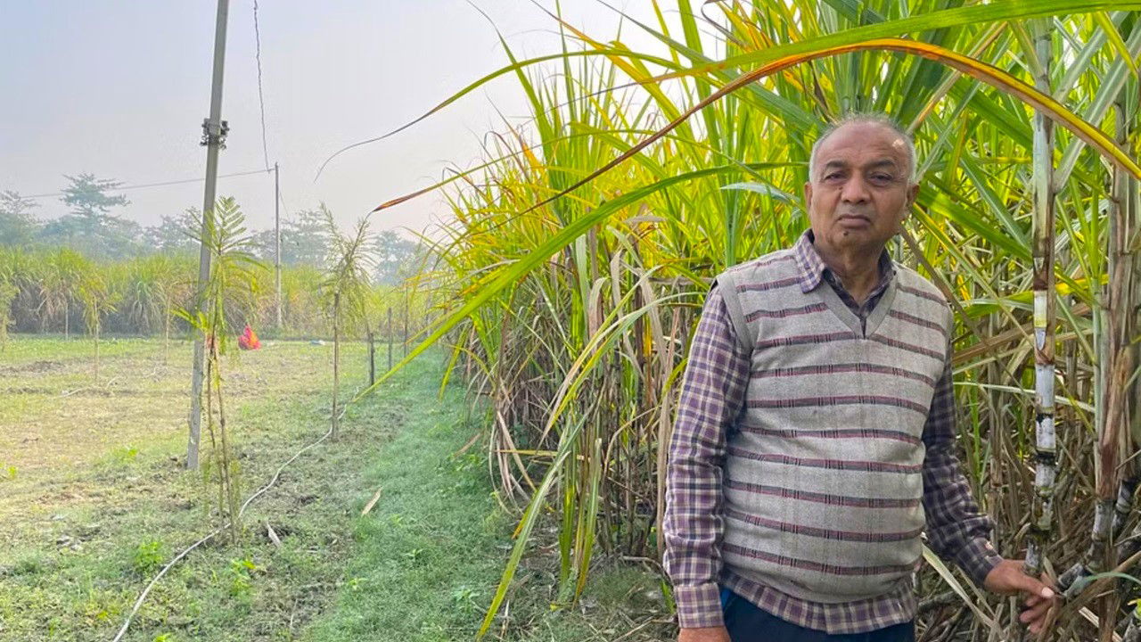 Vinay Kumar standing in his sugarcane farm