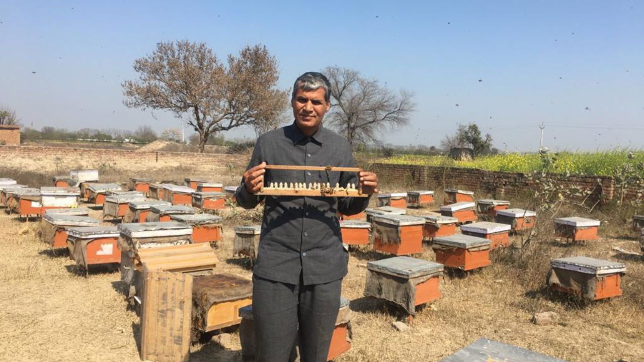 Jagpal Singh Phogat, a progressive honeybee farmer