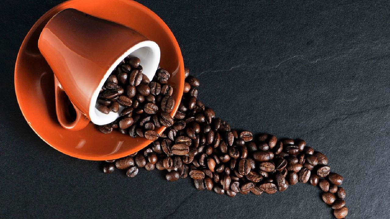 Representational image of Coffee (Image source: Photopea)