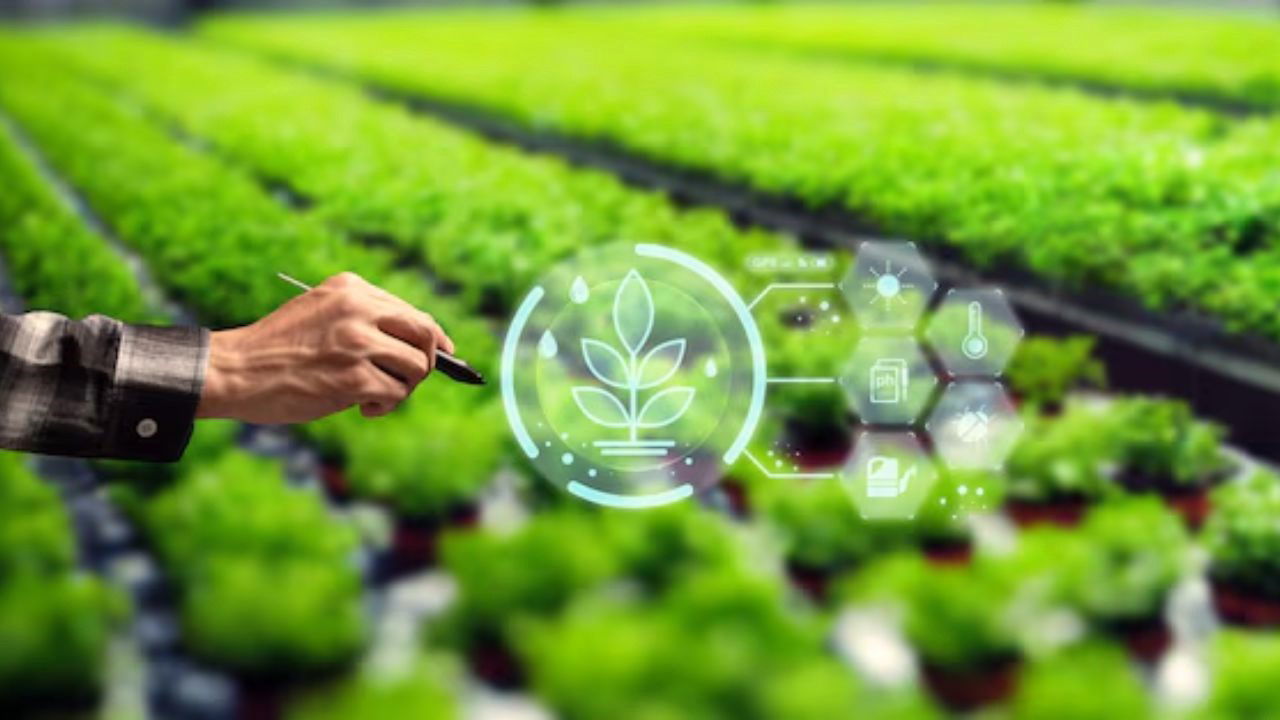 Innovators have improved not only the way fresh produce gets to consumers but also fostered greater ecological sustainability, adopting eco-friendly agriculture methods (Representational Image Source: Pexels)