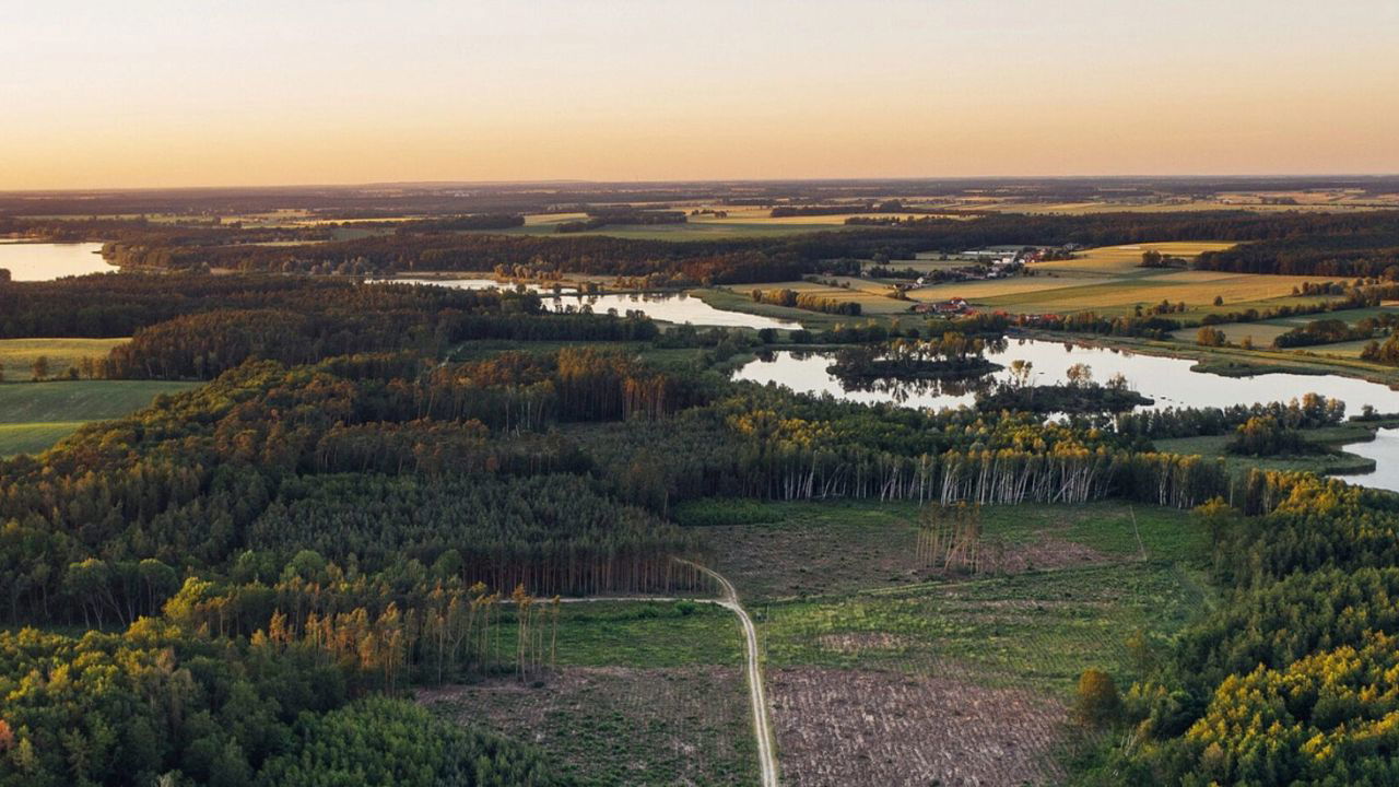 Expansion of rural infrastructure is aimed at streamlining biomass collection and enhancing rural entrepreneurship (Representational Image Source: Pexels)