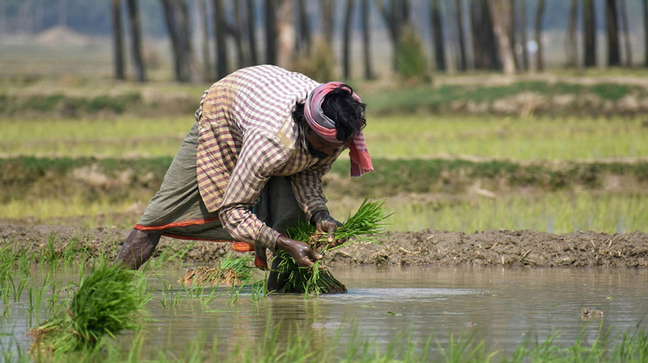 Representative image of small farmers (photo: Pexels)