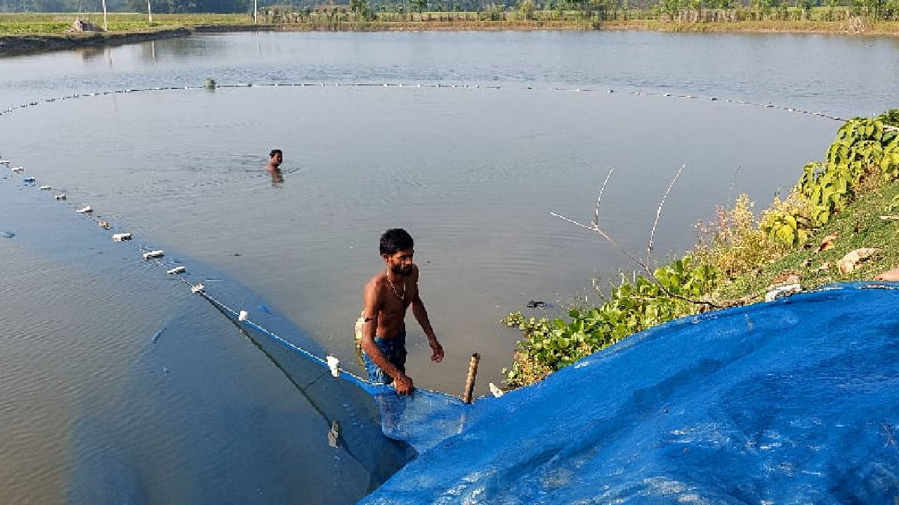 Work going on in Muzaffar Kamal Saba's pond