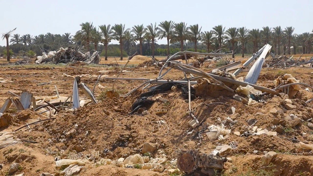 Agricultural damage in the Gaza Strip (Photo Source: FAO)