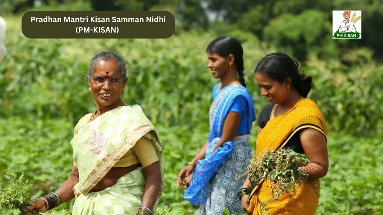 Women farmers (Representational Image Source: UNDP)