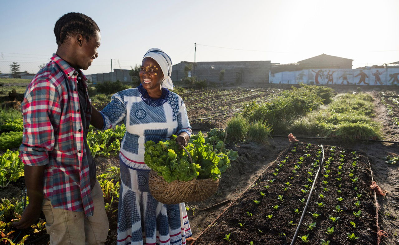 Smallholder Farmers from Africa Urge Improved Access to Technology for Regenerative Agriculture and Resilience