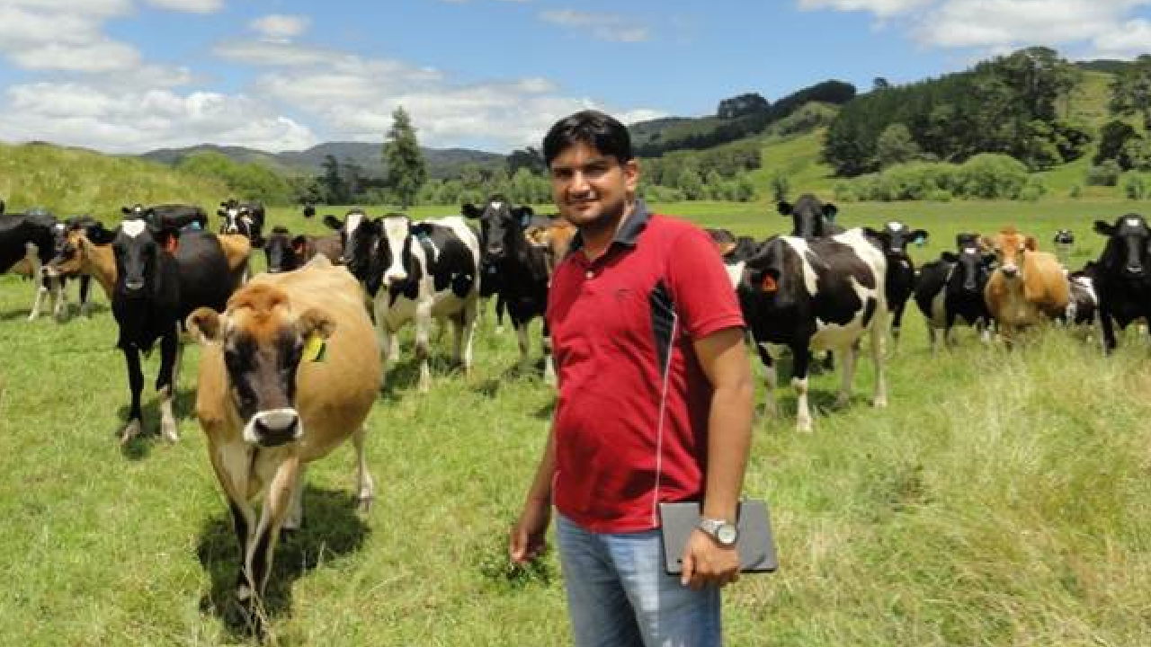 Deepak Raj Tushir with his cattle in his dairy farm