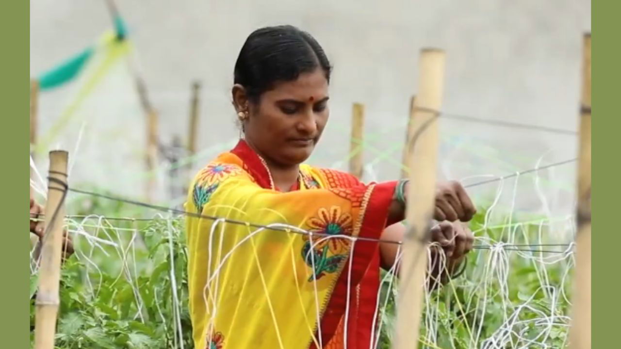 Mangala Waghmare at her farm