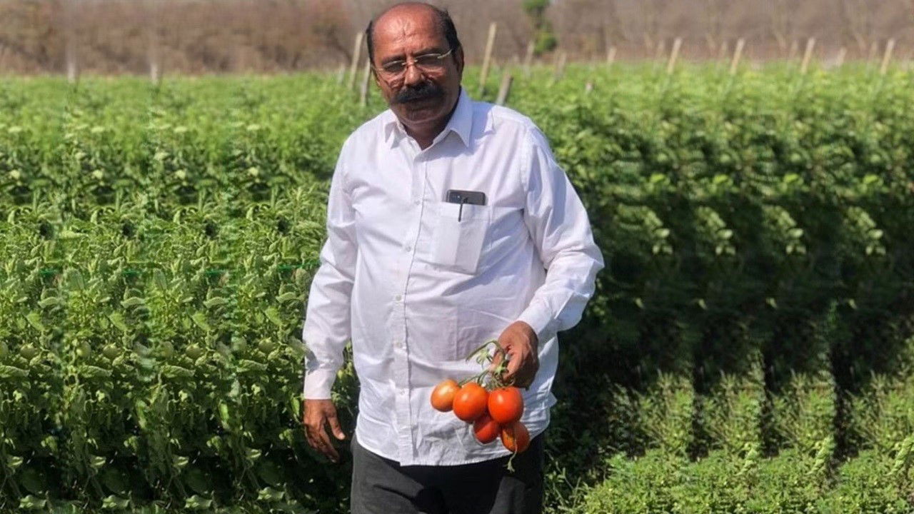 Madhusudan cultivates high-value crops like chili, capsicum, tomato, garlic, and ginger on his 200-acre farm.