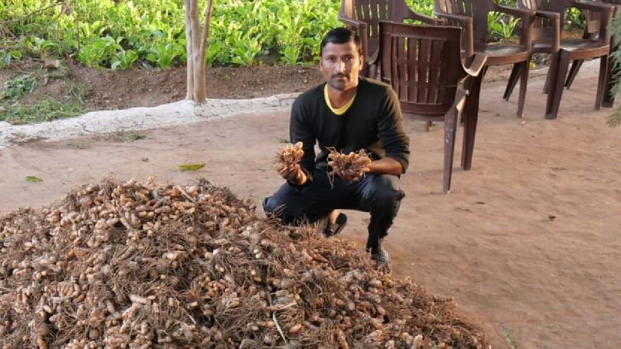 Nahar Singh Kushwah with his ginger