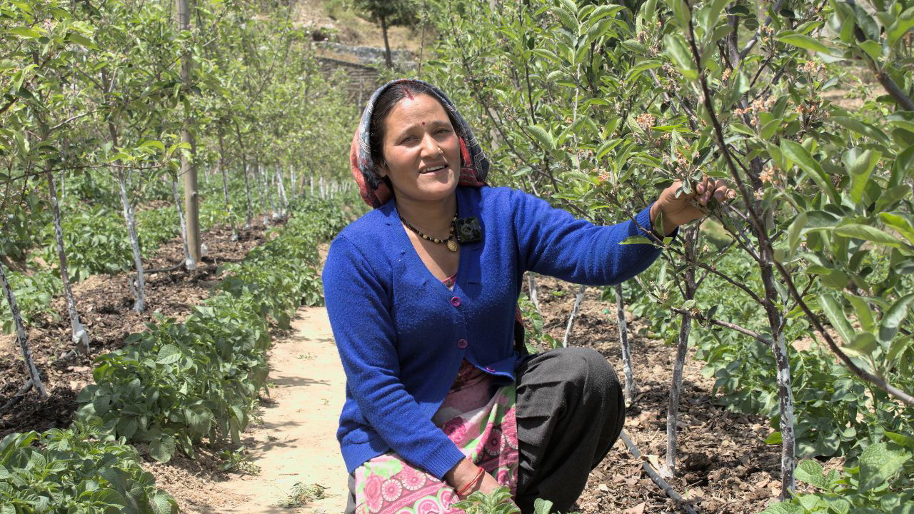 Basanti, apple farmer from Uttarakhand